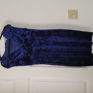 Nwt Prosecco blue velvet dress